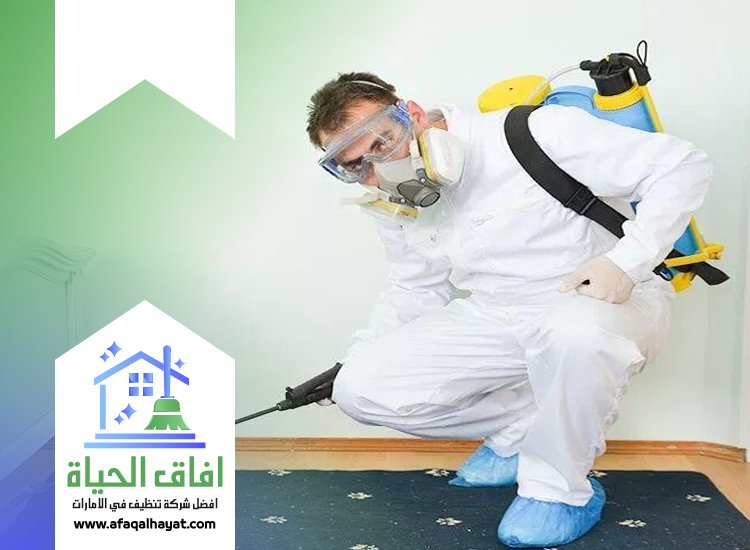 شركة مكافحة صراصير في عجمان