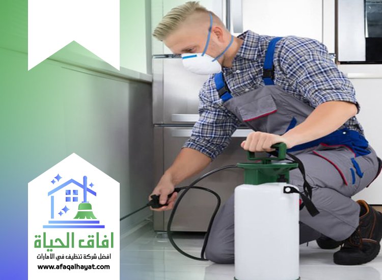 شركة مكافحة صراصير في دبي