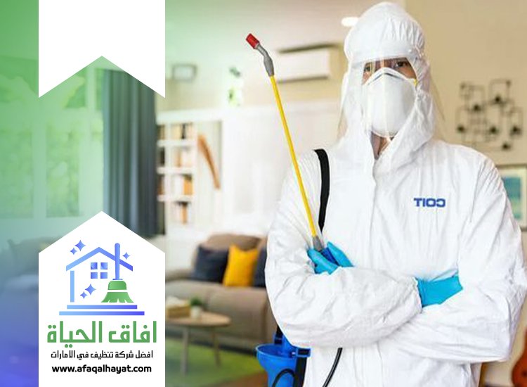 شركة مكافحة حشرات في عجمان