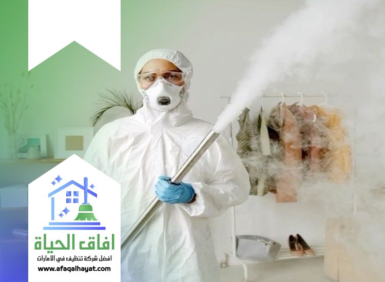 شركة مكافحة حشرات في عجمان
