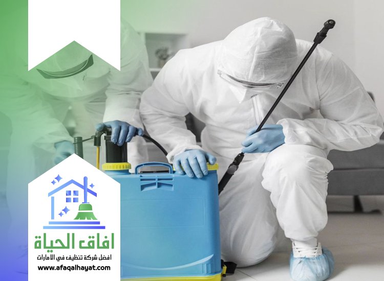شركة مكافحة حشرات في عجمان