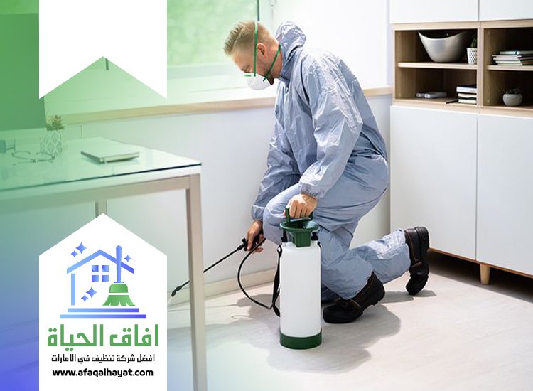 شركة مكافحة حشرات في ام القيوين