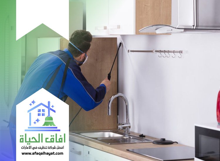 شركة مكافحة حشرات في ام القيوين