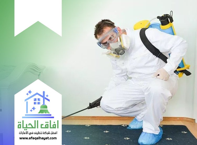 شركة مكافحة حشرات في راس الخيمة