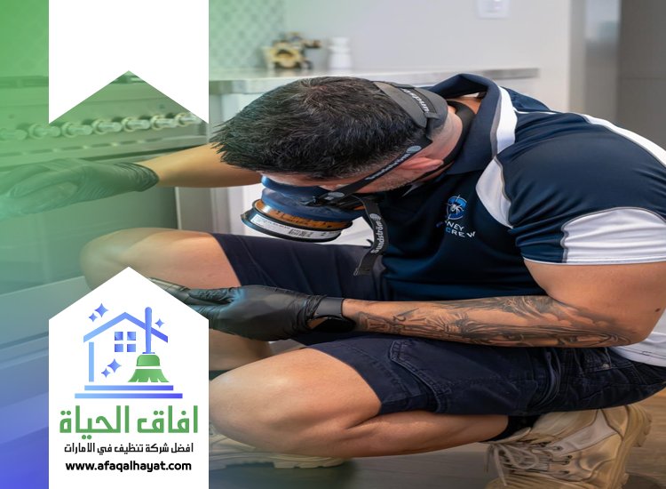 شركة مكافحة حشرات في راس الخيمة