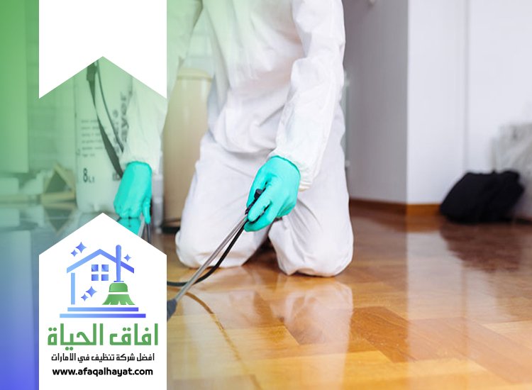 شركة مكافحة حشرات في راس الخيمة