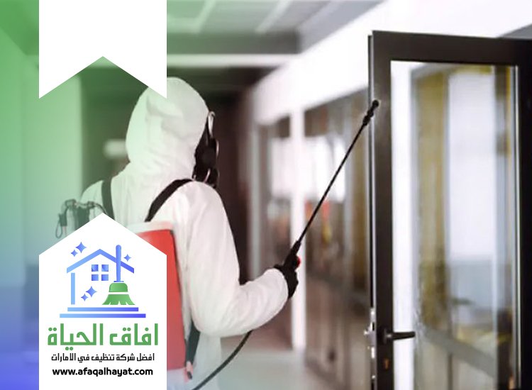 شركة مكافحة حشرات في دبي