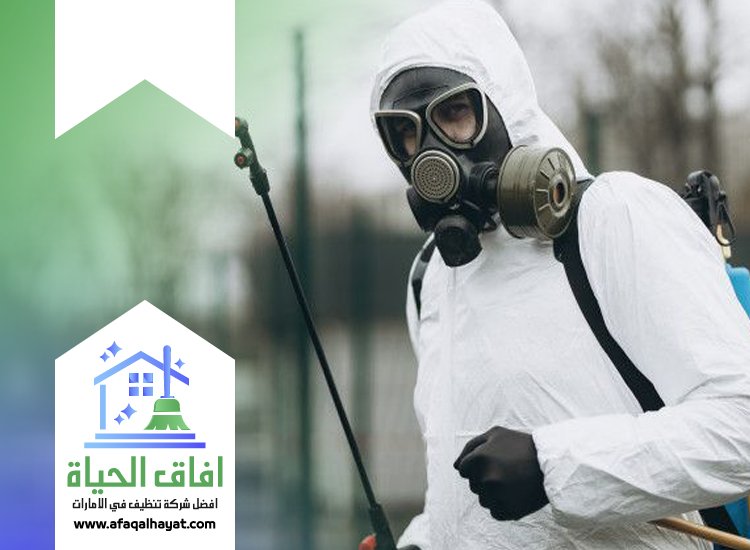 شركة مكافحة حشرات في دبي