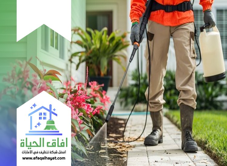 شركة مكافحة حشرات في الشارقة