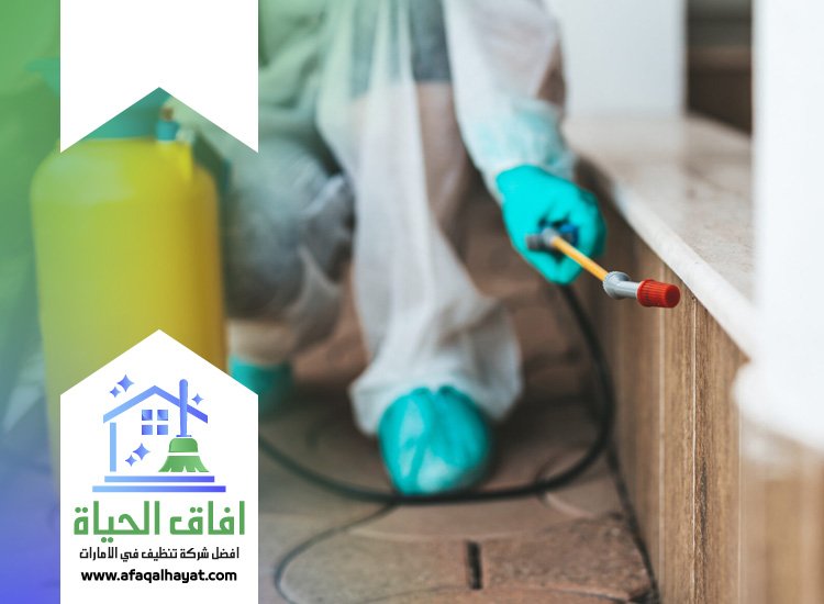 شركة مكافحة العتة في الفجيرة