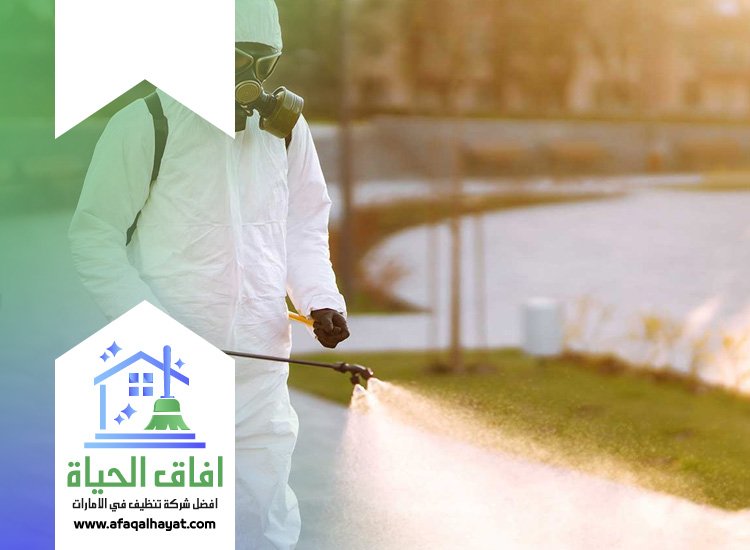 شركة مكافحة العتة في الفجيرة