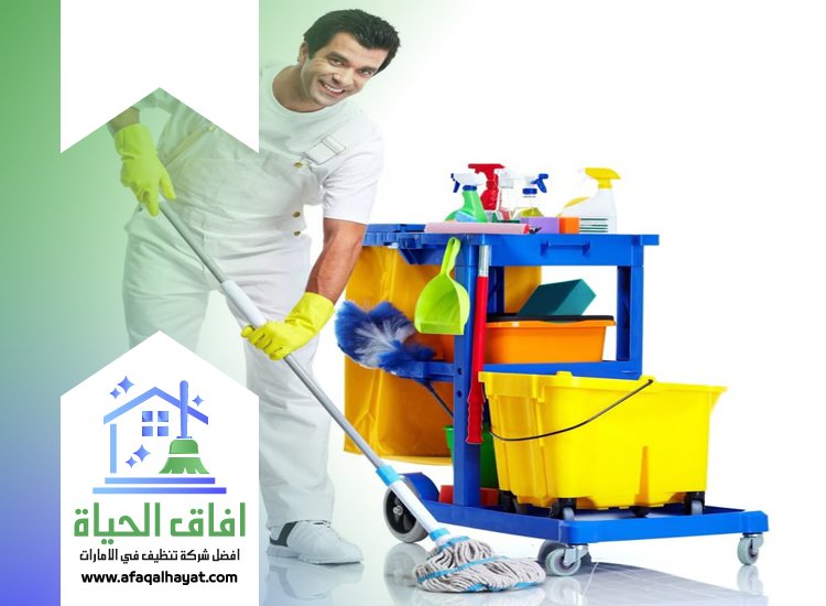 شركة تنظيف في البحيرات