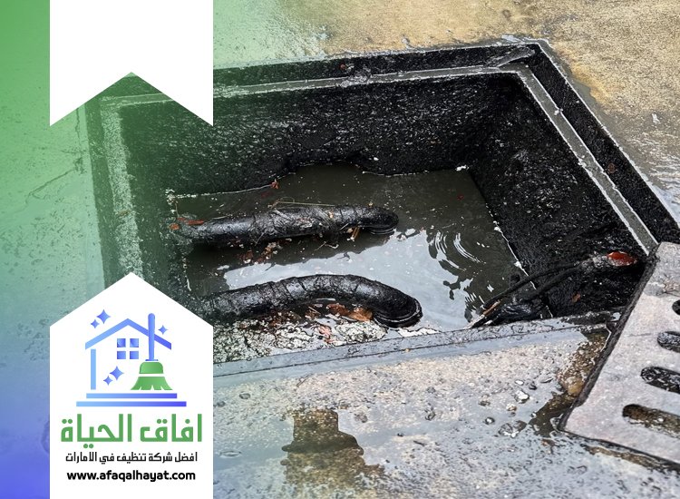 شركة تسليك مجاري في الفجيرة