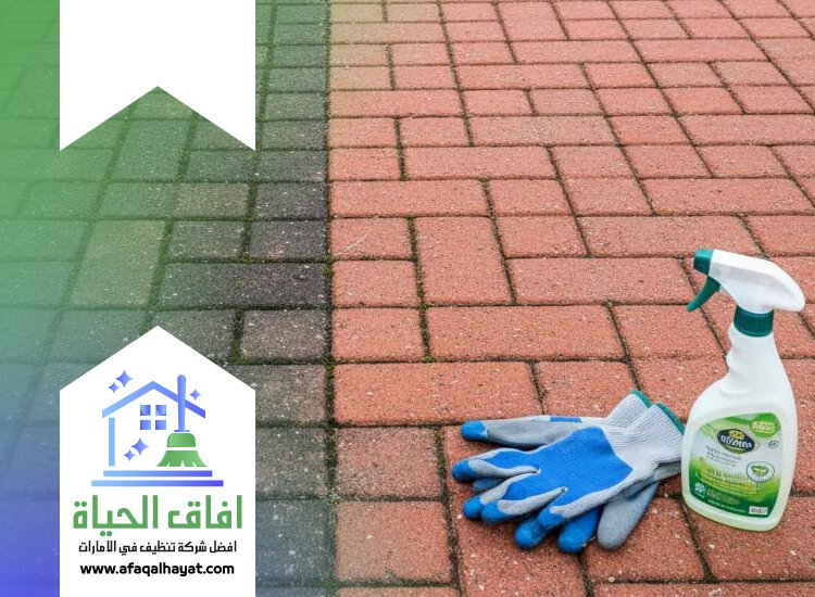 شركة تنظيف احواش في الفجيرة