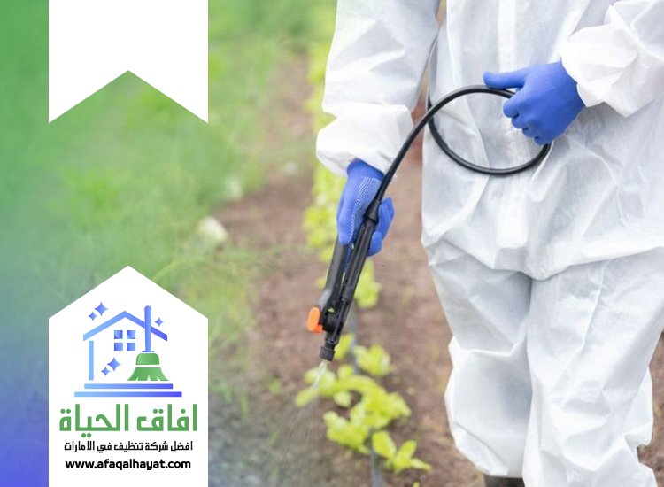 شركة مكافحة في الروضة