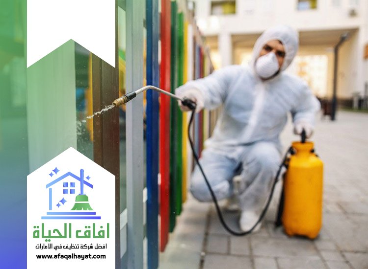 شركة مكافحة في الجافلية 0545142280 | افاق الحياة
