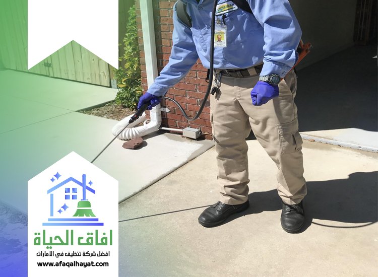 شركة مكافحة في خورفكان