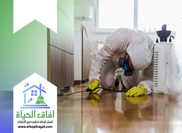 شركة مكافحة في السهول