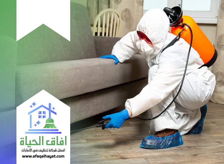 شركة مكافحة في المرقبات 0545142280 | افاق الحياة