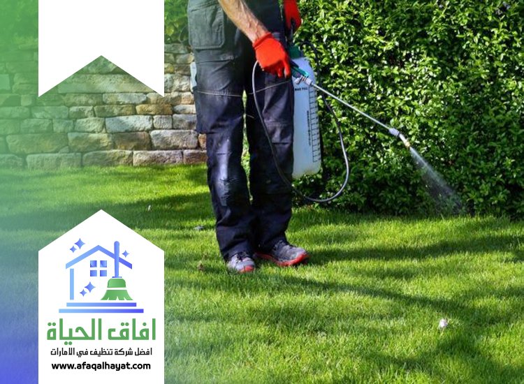 شركة مكافحة في كلباء