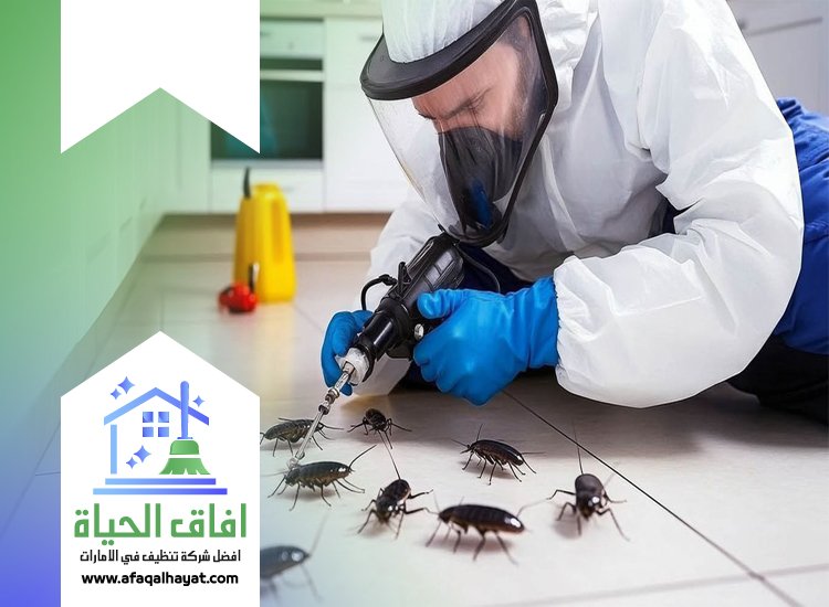شركة مكافحة في دبا الحصن
