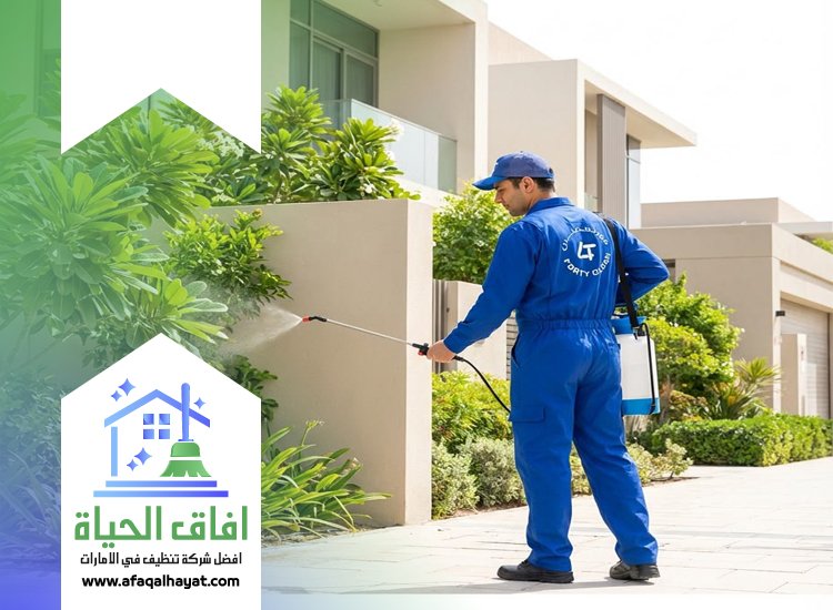 شركة مكافحة في الصفوح 0545142280 | افاق الحياة