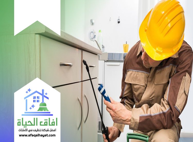 شركة مكافحة في الراشدية 0545142280 | افاق الحياة