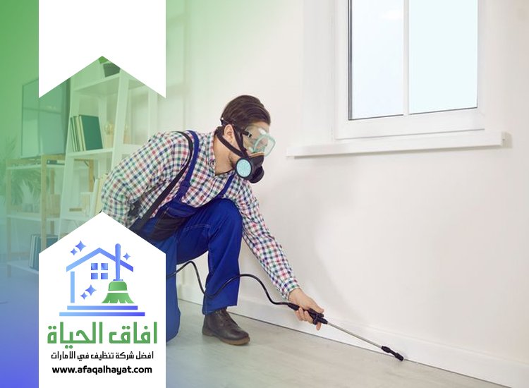 شركة مكافحة في دبا الفجيرة