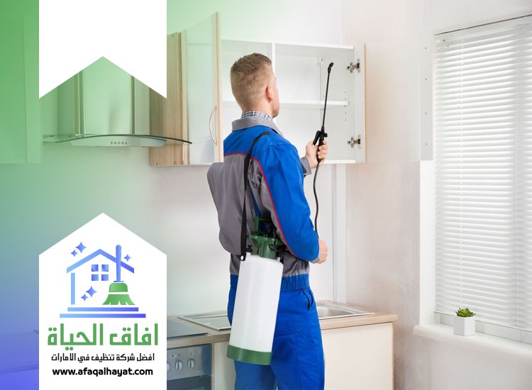 شركة مكافحة في البدع 0545142280 | افاق الحياة