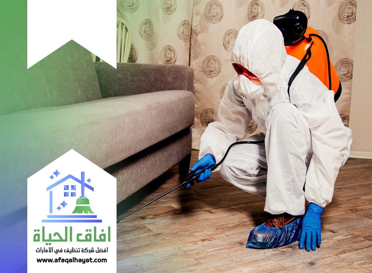 شركة مكافحة في دبا الحصن