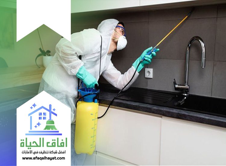 شركة مكافحة في الراشدية
