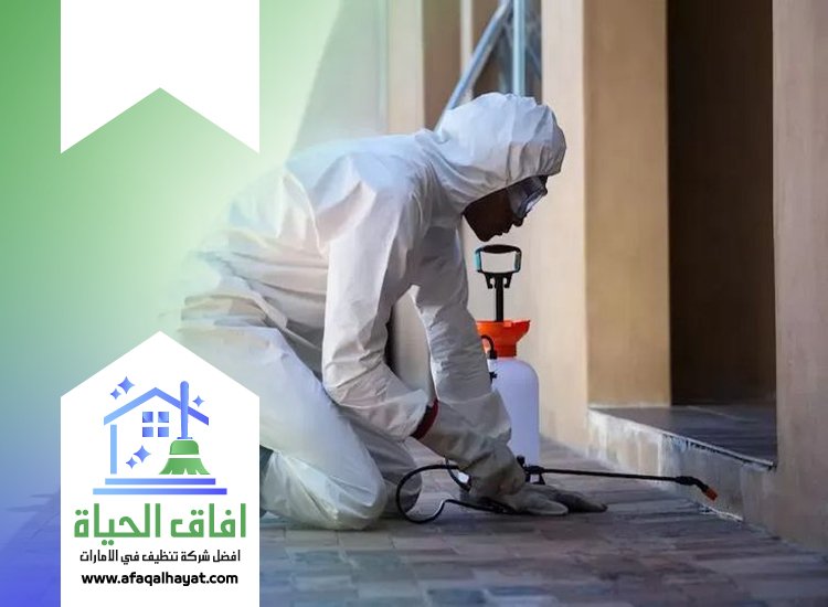 شركة مكافحة في الراشدية