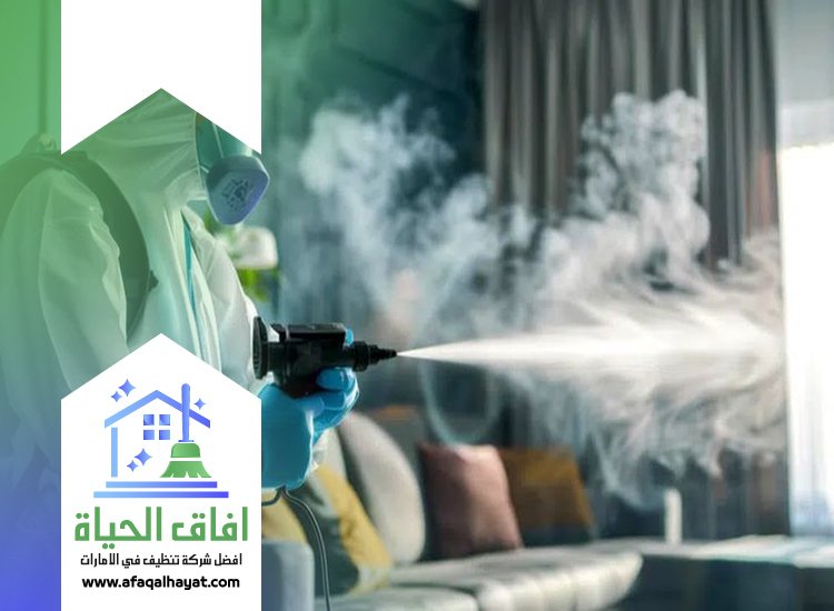 شركة مكافحة في الطور 0545142280 | افاق الحياة