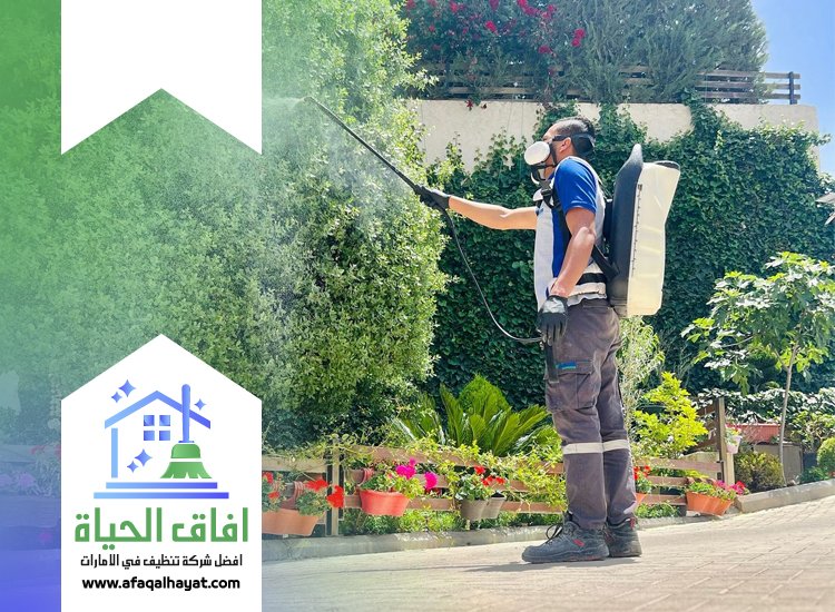 شركة مكافحة في اعمار