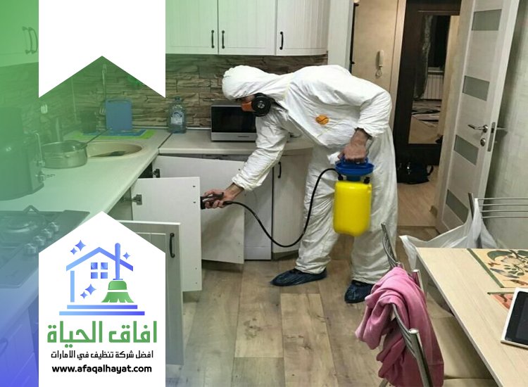 شركة مكافحة في خورفكان 0545142280 | افاق الحياة