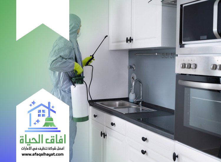 شركة مكافحة في دبا الفجيرة