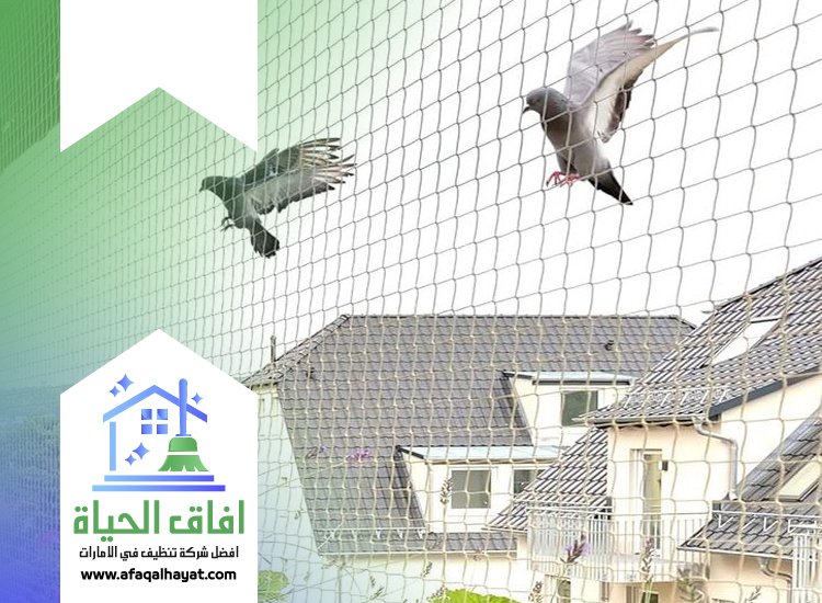 شركة مكافحة الحمام في ام القيوين