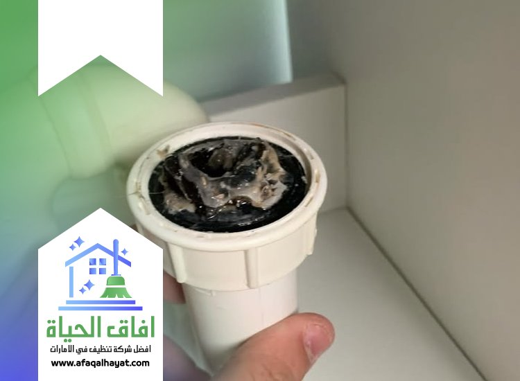 شركة معالجة الروائح في الإمارات
